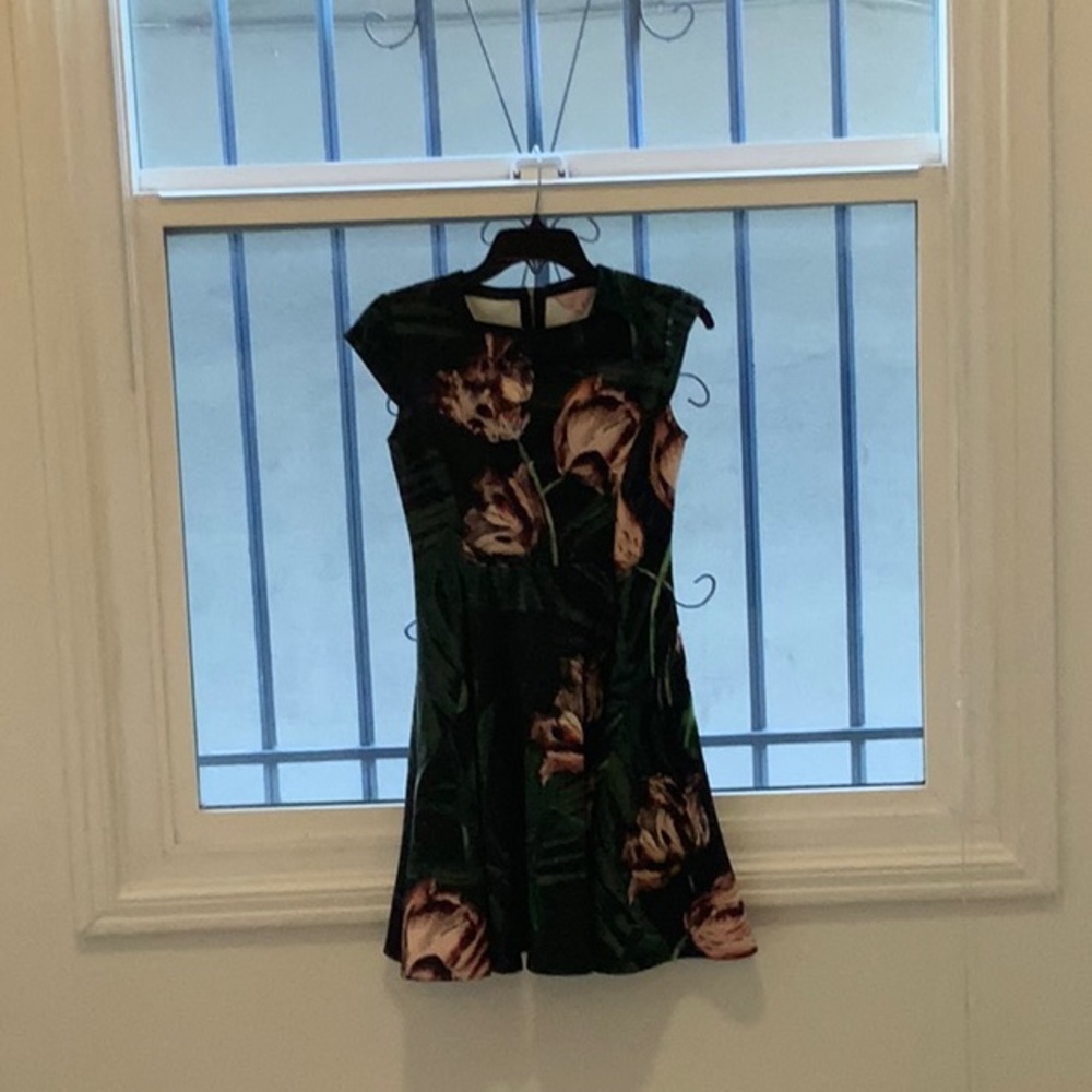 Ted Baker Skater dress